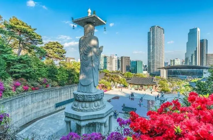 Plein ソウル特別市